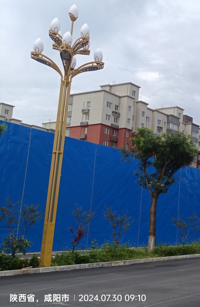 咸阳市10米玉兰灯
