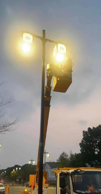景区8米仿古双臂路灯